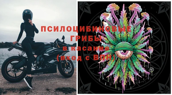 дурь Белокуриха