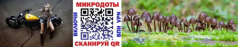 Галлюциногенные грибы ЛСД Сегежа